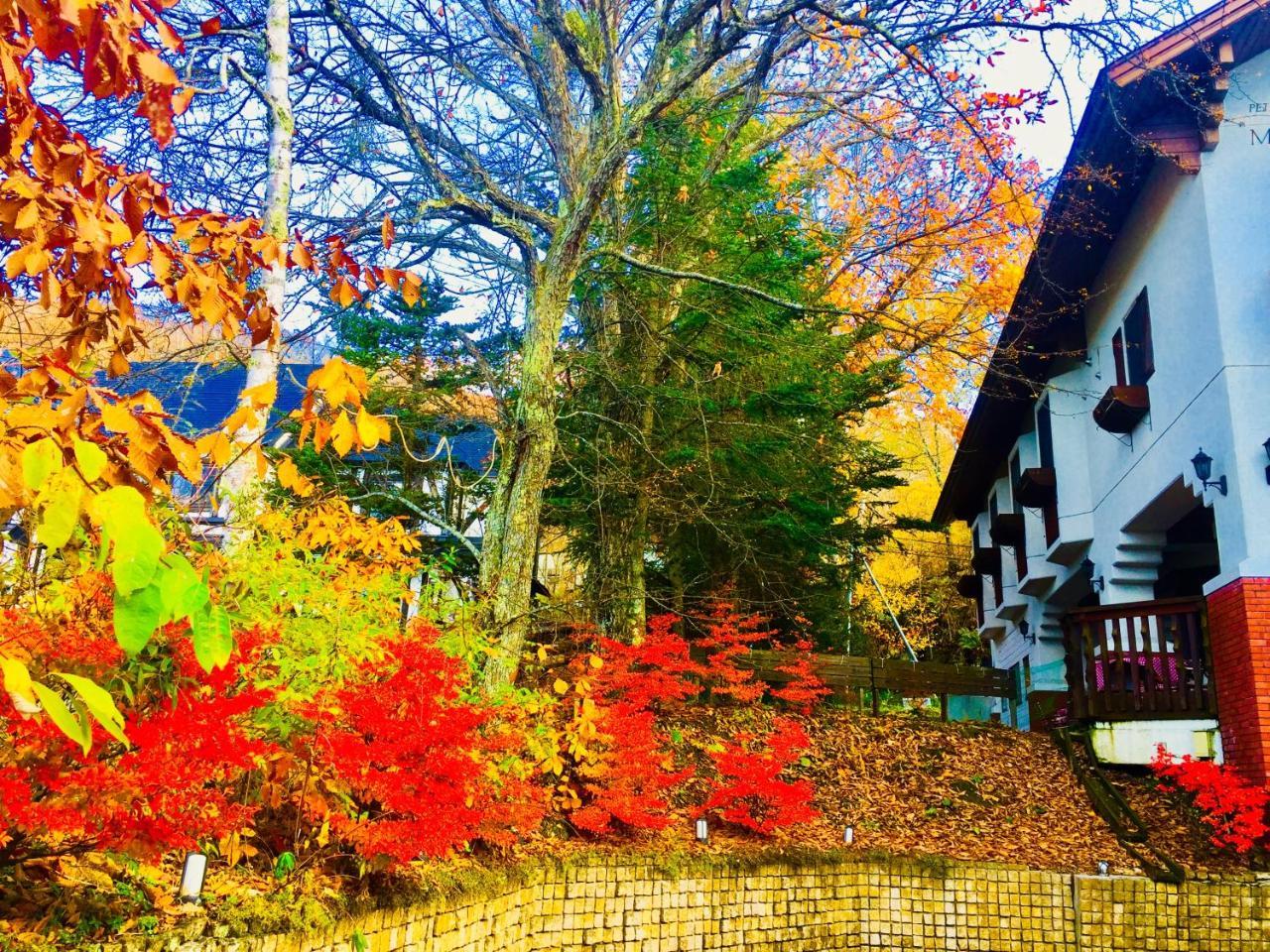 白樺湖榮園 Hotel Chino Buitenkant foto